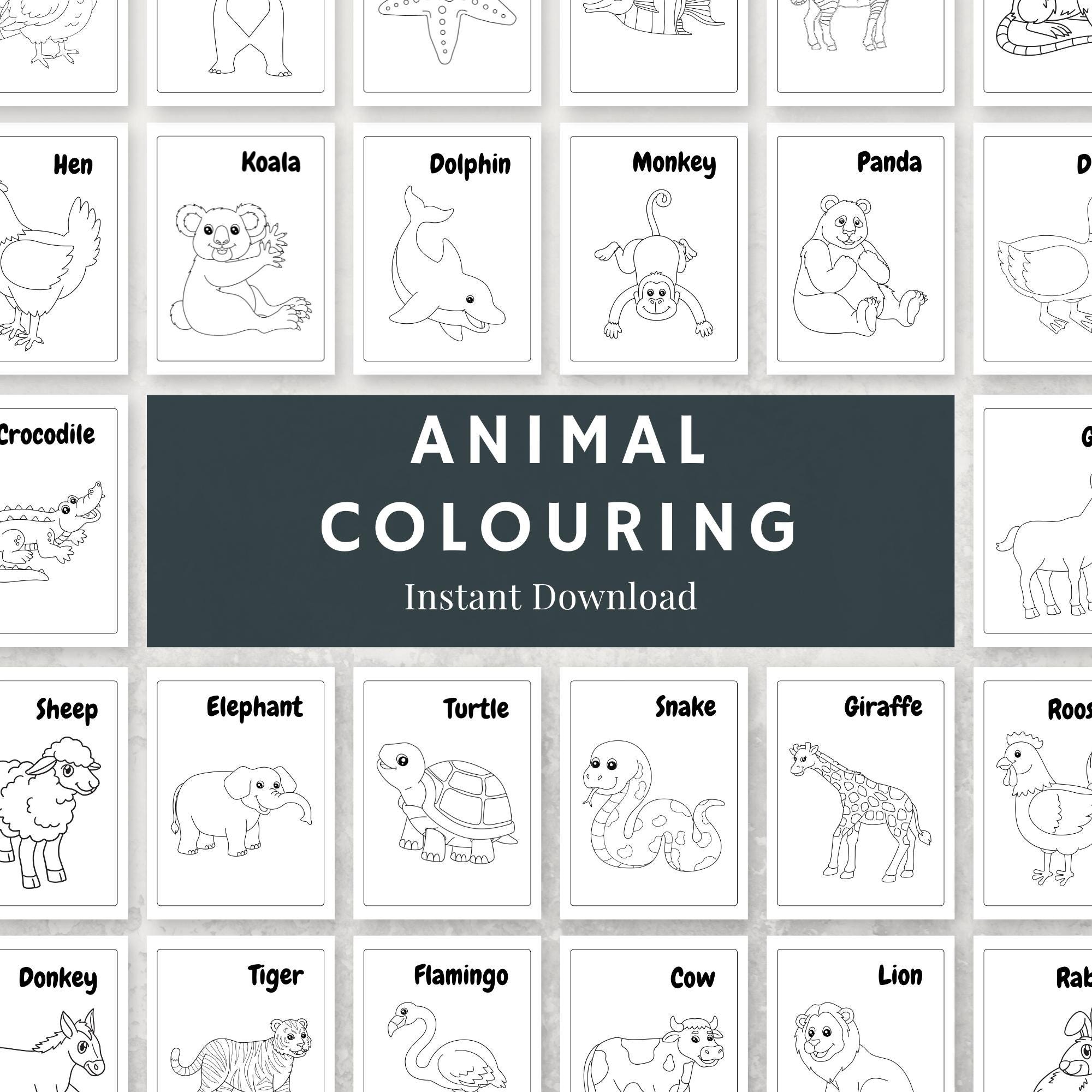 Printable Animal Coloring Pages for Kids | Fun Animal Designs | Instant
