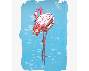 Flamingo Limited Edition Screen Print by Fiona Hamilton