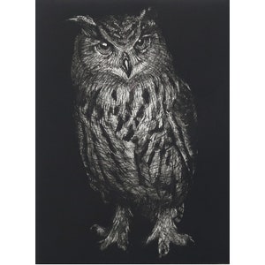 Noctua Owl Aquatint Etching: Limited Edition Black and White Print by Fiona Hamilton