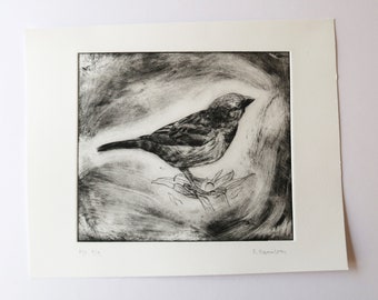 Sparrow 9/9 Limited Edition Black and White Drypoint Etching by Fiona Hamilton - Branch, Tree, Flower, Spring, monochrome, intaglio