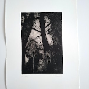 Könnte beinhalten: Schwarz-Weiß-Kunstdruck, der eine Waldszene zeigt, mit hohen Bäumen, die sich nach oben erstrecken. Der Druck befindet sich auf weißem Papier und enthält die Signatur des Künstlers und die Editionsnummer.