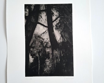 Arboretum Aquatint Original Etching, Tree Art Print