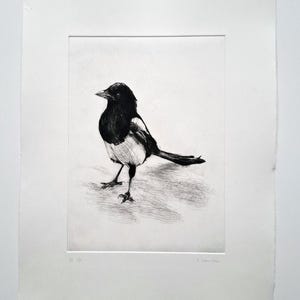 Peut inclure: Une gravure en noir et blanc d'une pie. L'oiseau est représenté de profil, debout sur une surface blanche. L'œuvre est encadrée dans un cadre blanc. La signature de l'artiste est visible.