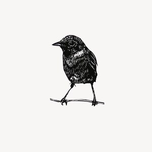 Stonechat  wood engraving print, handprinted original limited edition woodcut