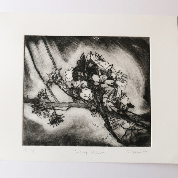 Cherry Blossom 4/4 Limited Edition Black and White Drypoint Etching by Fiona Hamilton - Branch, Tree, Flower, Spring, monochrome, intaglio