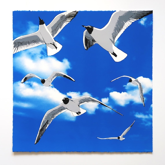 Colony of Black Headed Gulls Limited Edition Screen Print by Fiona Hamilton