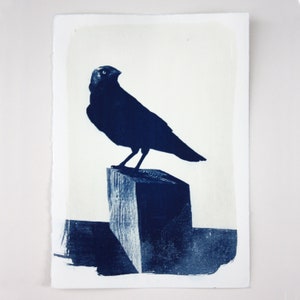 Jackdaw Limited Edition original hand printed fine art Cyanotype by Fiona Hamilton, alternative photography