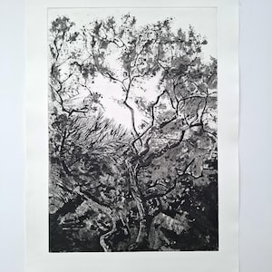 Op de afbeelding: Zwart-wit print van een boom met ingewikkelde takken en bladeren. Het kunstwerk staat op een witte achtergrond met een getextureerde rand. De print legt de details van de boomstructuur en het spel van licht en schaduw vast.