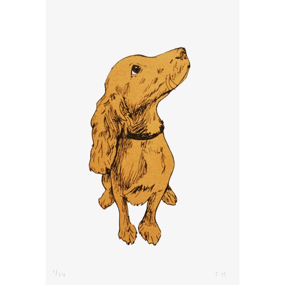 Golden Puppy Hand Pulled Limited Edition Screen Print by Fiona Hamilton