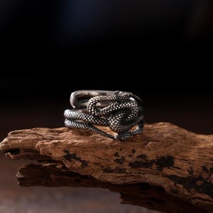 Op de afbeelding: Een zilverkleurige metalen ring met een ontwerp van een kronkelende slang met gedetailleerde, getextureerde schubben die rond de band wikkelen. Het metaal heeft een geoxideerde afwerking die het complexe patroon van het slangenlichaam en de kop benadrukt.