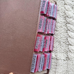 May include: Pink and white Bible tabs with the names of books of the Bible, including Genesis, Exodus, Leviticus, and Numbers.