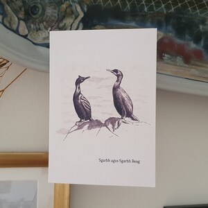 Cormorano e marangone dal ciuffo con gaelico scozzese / Carta della fauna selvatica, della natura