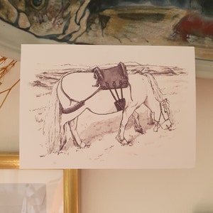 Poney des Highlands de travail dans l'est de l'Écosse avec le gaélique écossais | Carte postale nature