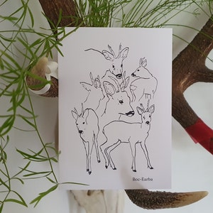 Capriolo con gaelico scozzese / Natura, Carta della fauna selvatica