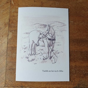 Pony delle Highlands scozzesi (West Scotland) con carta gaelica scozzese/natura