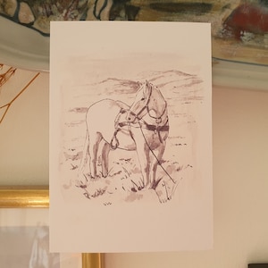 Poney des Highlands de travail dans l'ouest de l'Écosse avec le gaélique écossais | Carte postale nature