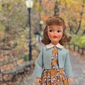 Può includere: Una bambola vintage con una giacca azzurra e un vestito a fiori con colletto bianco. La bambola ha i capelli castani e si trova di fronte a uno sfondo sfocato di alberi e un lampione.