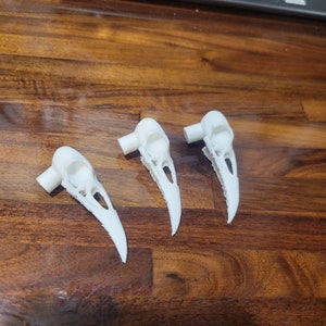 Op de afbeelding: Drie witte 3D-geprinte replica's van vogelschedels. De schedels zijn gedetailleerd en hebben een realistisch uiterlijk.