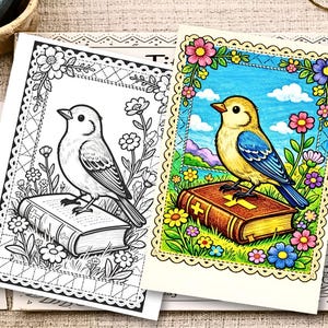 Può includere: Due pagine da colorare con un uccello appollaiato su un libro. Una pagina è un contorno in bianco e nero, l'altra è colorata con un uccello giallo e blu, circondato da fiori e cielo blu.