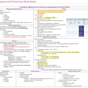 Könnte beinhalten: Ein medizinischer Chart, der die Schritte zur Beurteilung eines Notfallpatienten beschreibt. Der Chart enthält Abschnitte für Triage, körperliche Untersuchung, Erstuntersuchung, Atemwege, Atmung, Auskultation und Atemstillstand. Der Chart enthält auch eine Tabelle mit einem Überlebensvorhersageindex (SPI) für kritisch kranke Hunde und Katzen.
