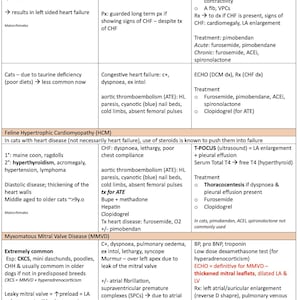 May include: A chart with information about dilated cardiomyopathy (DCM), feline hypertrophic cardiomyopathy (HCM), and myxomatous mitral valve disease (MMVD) in dogs and cats. The chart includes symptoms, causes, treatments, and illustrations of the heart.
