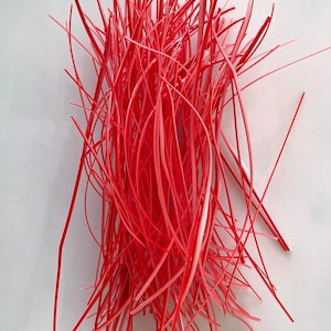 May include: A collection of thin, flexible, bright red plastic strands arranged in a loose, vertical bundle. The individual strands are smooth, cylindrical, and vary slightly in length, creating a dense, textured, and tangled appearance.