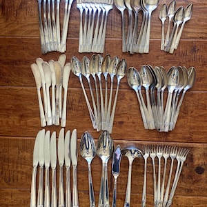 May include: A large collection of silver-toned stainless steel flatware including dinner knives, forks, spoons, butter knives, and a ladle. Each piece features a decorative embossed pattern on the handle, arranged in organized rows and columns.