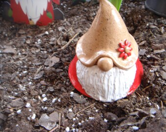 Gnome