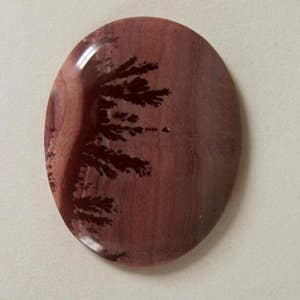 Oval Indian Paint Jasper designer cabochon. 26 x 34 mm. High sheen polish. Dark Browns, pinkish tan tones. 125L0214 image 2