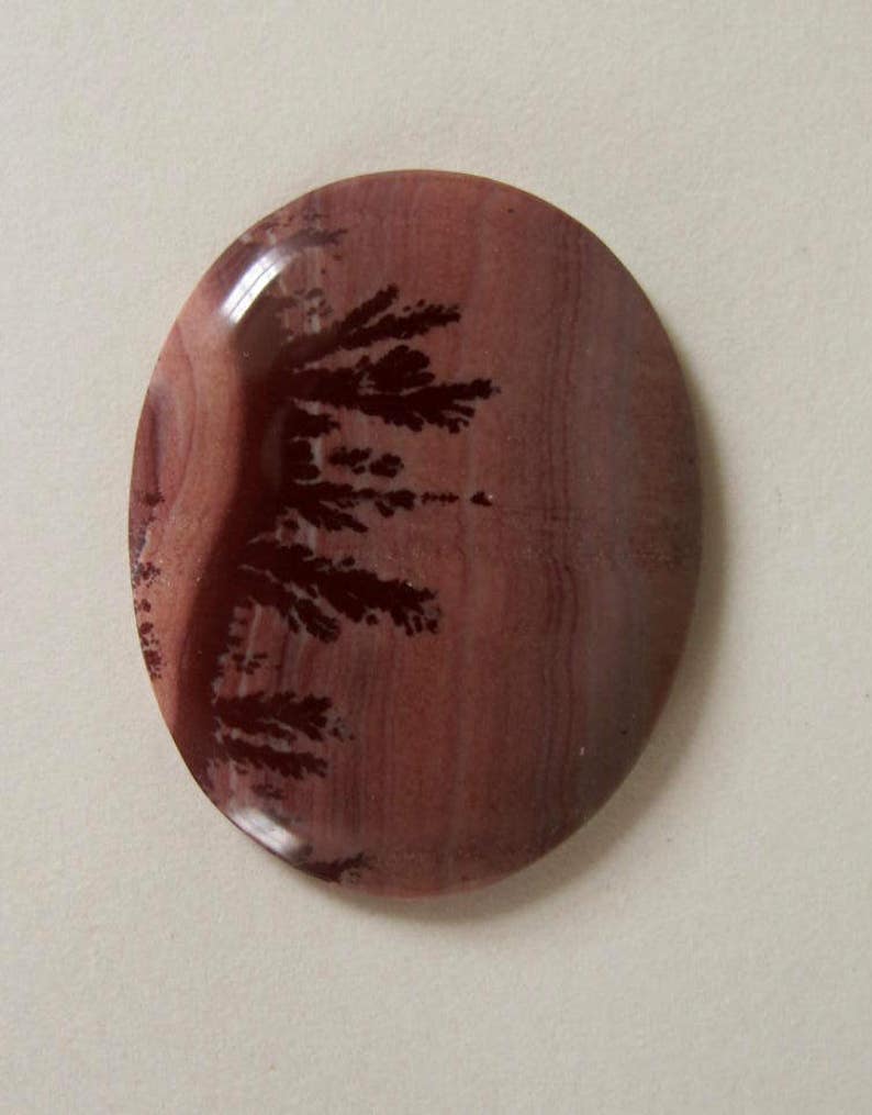 Oval Indian Paint Jasper designer cabochon. 26 x 34 mm. High sheen polish. Dark Browns, pinkish tan tones. 125L0214 image 2