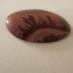 Oval Indian Paint Jasper designer cabochon. 26 x 34 mm. High sheen polish. Dark Browns, pinkish tan tones. 125L0214 image 3