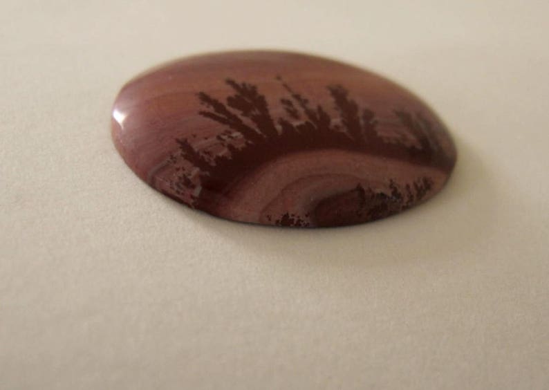 Oval Indian Paint Jasper designer cabochon. 26 x 34 mm. High sheen polish. Dark Browns, pinkish tan tones. 125L0214 image 3