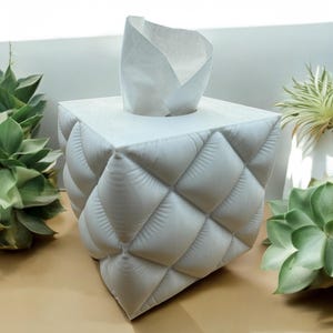 Inflated Tissue Box Cube