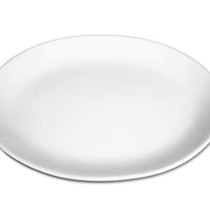 May include: A white ceramic dinner plate with a slightly raised rim.