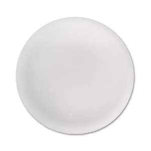 May include: A white paper plate, perfect for serving food or snacks.