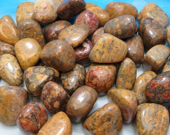 1 Leopard Skin Jasper Also Known as Jaguar Jasper Healing Stone Healing Crystal Crown Heart and Root Chakra lot a