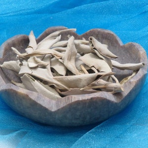 May include: A carved brown stone bowl with a scalloped edge containing a pile of dried, pale beige sage leaves. The bowl features a textured, mottled surface with visible natural stone grain patterns and a rounded, shallow basin shape.