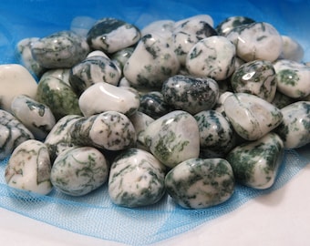 2 Tree Agate Healing Stones Crown Chakra Healing Crystal lot a