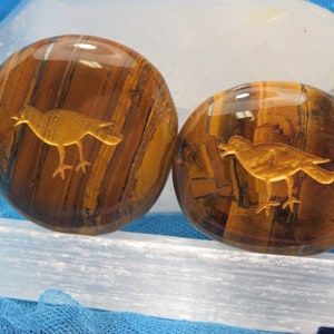 RAVEN Animal Spirit Totem Gold Tiger Eye Tumbled Stone Solar Plexus Chakra Palm Worry and Pocket Crystal