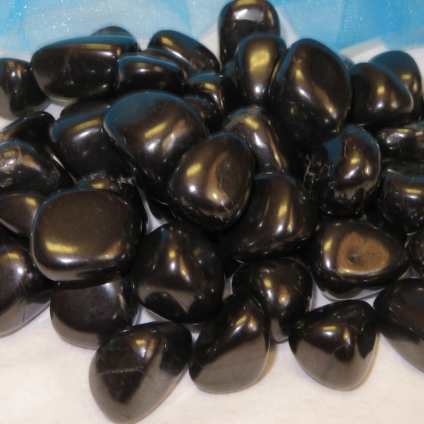 Shungite Polished Healing Crystal Known As The Stone of Life All Chakra Healing Stone lot b