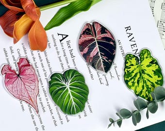 Mini Plant Fridge Magnet Set Gifts, Cute Monstera Leaf Fridge Magnet for Plant Lover Gifts, Unique Refrigerator Magnets Kitchen Decor Gifts.