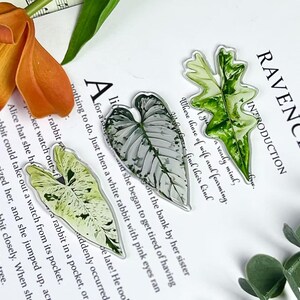 Botanical Leave Fridge Magnet Houseplant Magnet, Cute Plant Fridge Magnet for Plant Lover Gift, Rare Plant Magnet Set for Kitchen Decor Gift