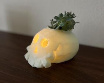 Schädel Übertopf: Gruselige Halloween Dekoration mit LED Beleuchtung