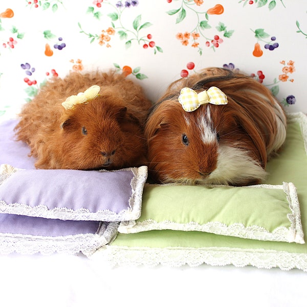 Guinea Pig Bed - Etsy UK