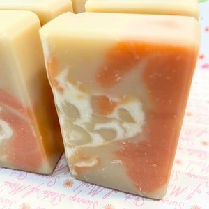 Pumpkin Apple Butter Handcrafted Soap Bar 4.5oz Okinawa Sea Salt image 3