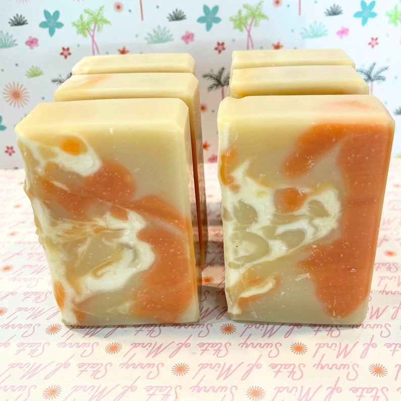 Pumpkin Apple Butter Handcrafted Soap Bar 4.5oz Okinawa Sea Salt image 1