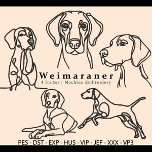 May include: Five black and white line art illustrations of Weimaraner dogs. The text "Weimaraner" is written in a cursive font with the text "4 Inches | Machine Embroidery" below it. The text "PES - DST - EXP - HUS - VIP - JEF - XXX - VP3" is written below the illustrations.