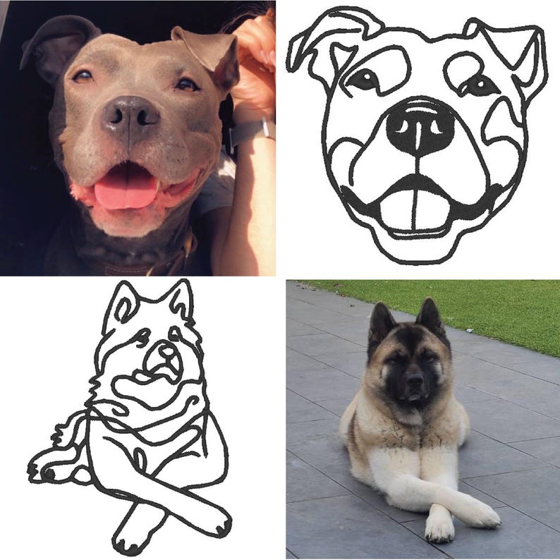 May include: A collage of four images featuring dogs. The top left image shows a gray pit bull terrier. The top right image shows a black and white line drawing of a pit bull terrier. The bottom left image shows a black and white line drawing of an Akita dog sitting with its legs crossed. The bottom right image shows a brown and white Akita dog sitting with its legs crossed.