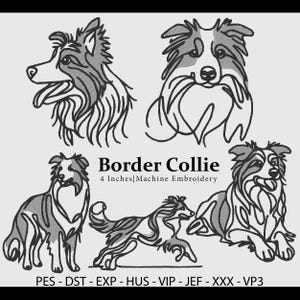 Könnte beinhalten: Vier Schwarzweiß-Linienzeichnungen von Border Collies in verschiedenen Posen. Der Text "Border Collie" und "4 Inches Machine Embroidery" befindet sich unter den Bildern. Der Text "PES - DST - EXP - HUS - VIP - JEF - XXX - VP3" befindet sich unter dem Text.