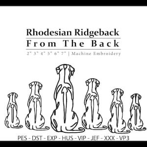 May include: Black and white line art of six Rhodesian Ridgeback dog silhouettes, viewed from the back. The image includes text that reads "Rhodesian Ridgeback From The Back" and sizes from 2 to 7 inches.